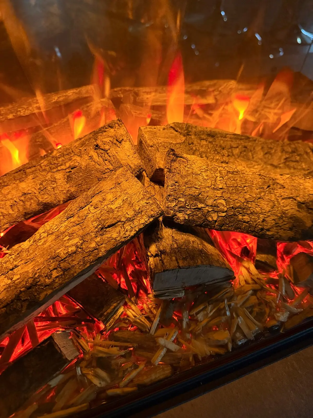 lumen-tulipesa1 – kopio